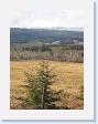 Smithers, Terrace and Prince Rupert 012